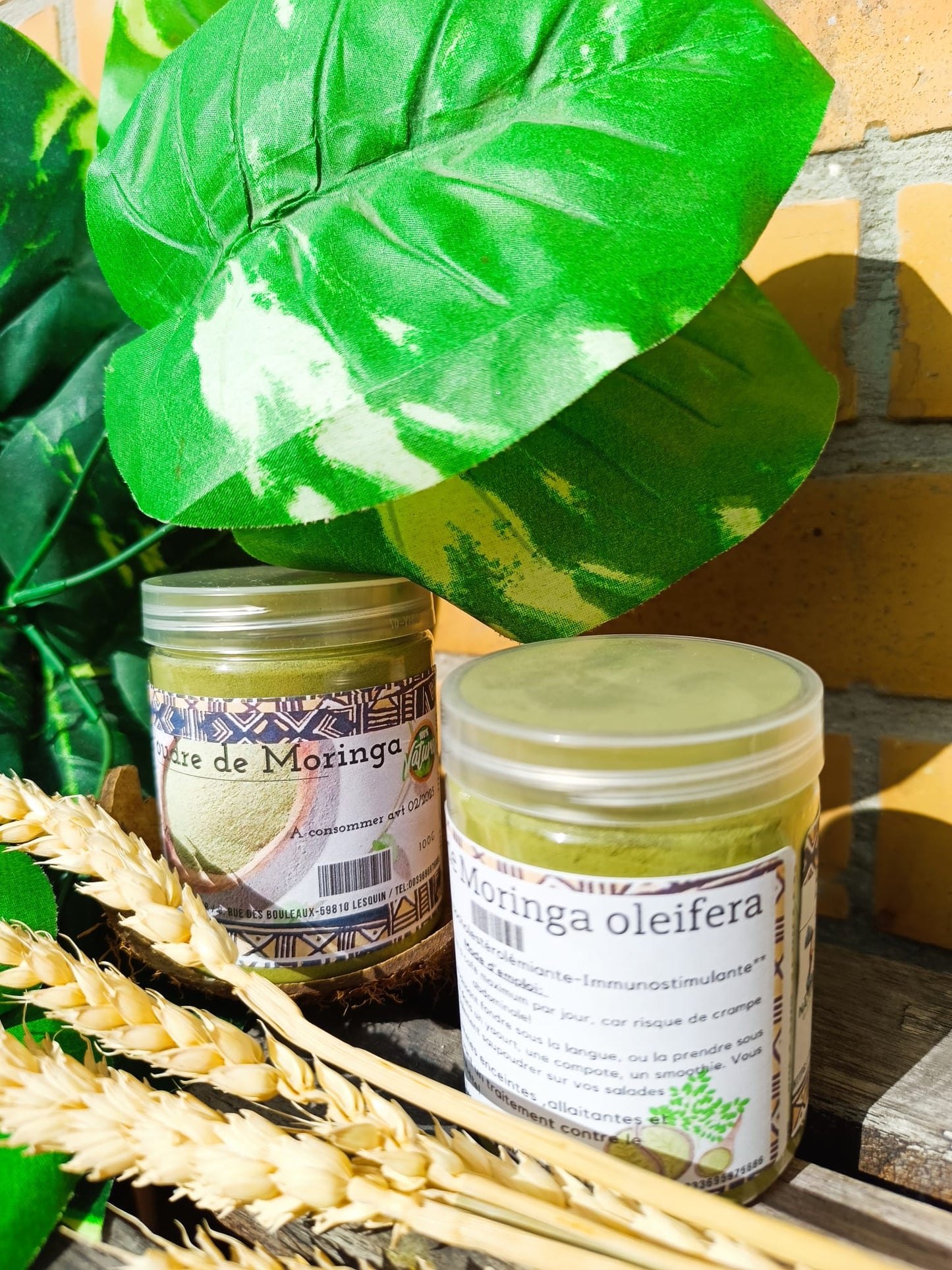 Poudre de Moringa encore appelé poudre de Moringue, Mouringue, Néverdier