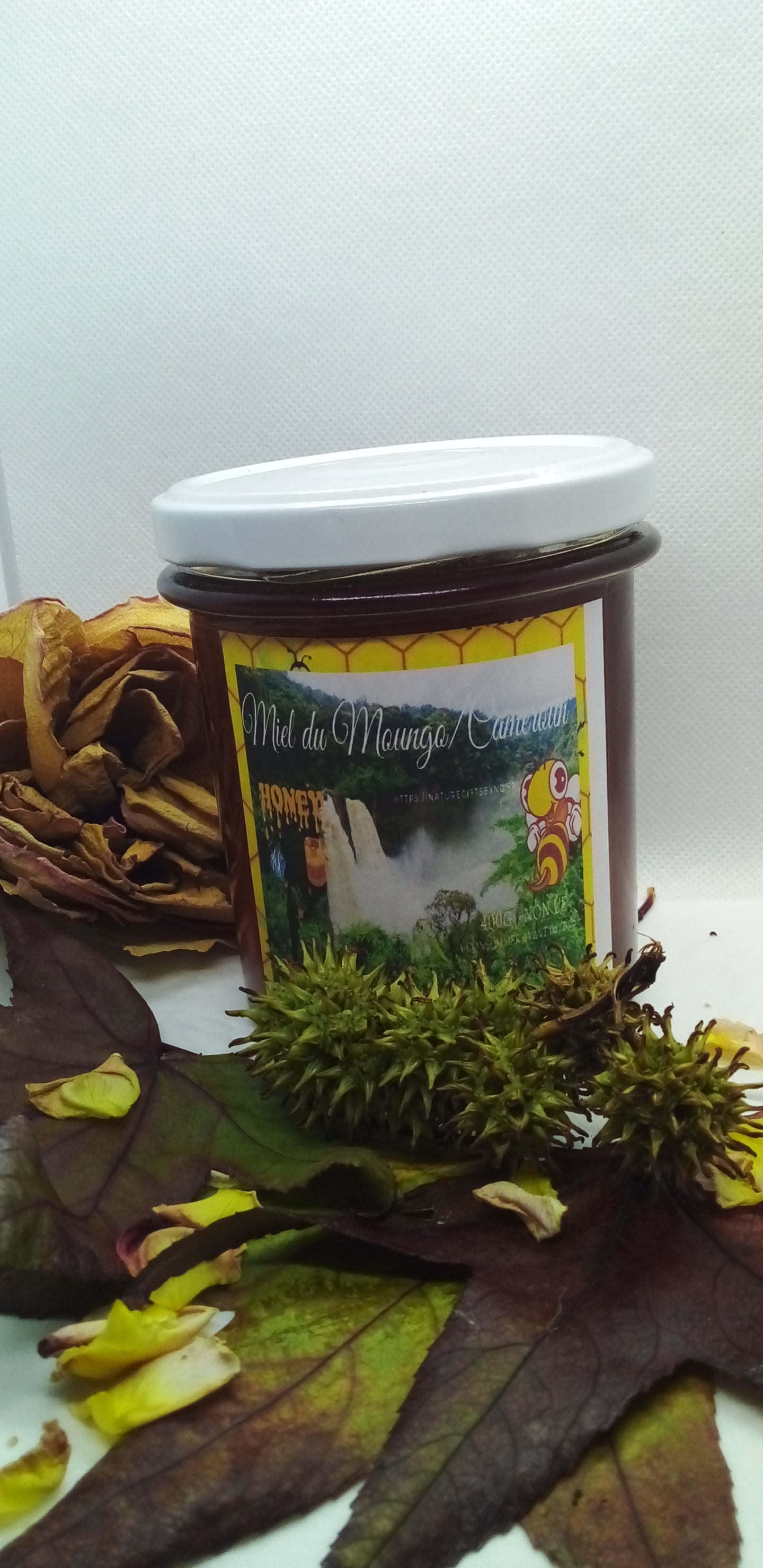 Miel du Moungo (Cameroun)