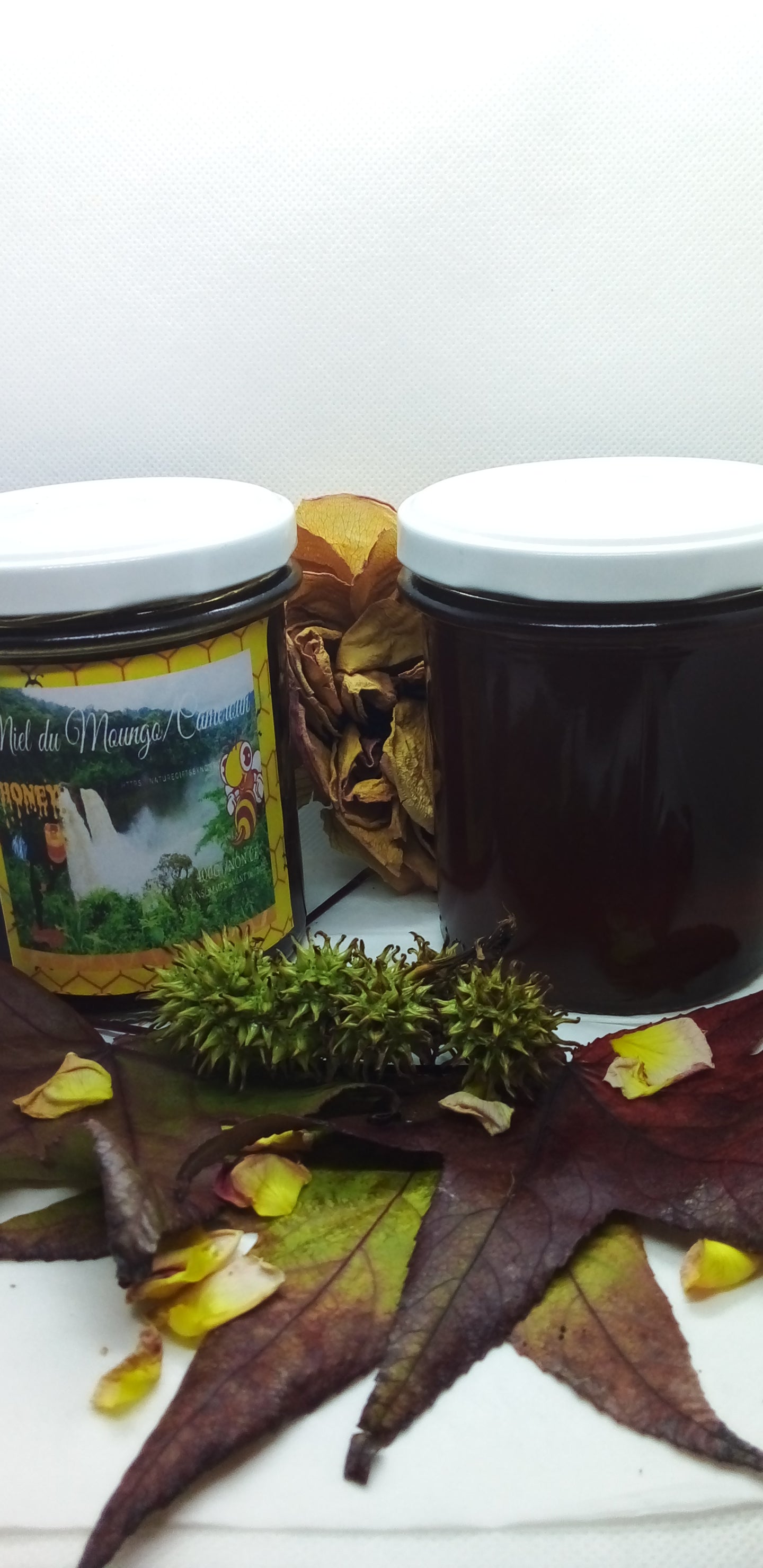 Miel du Moungo (Cameroun)