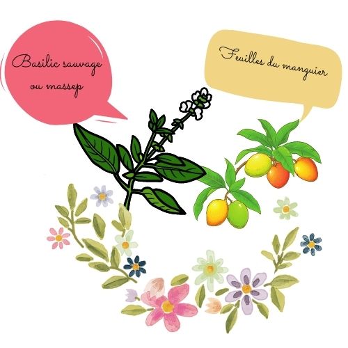 Tchué Mièh / Tisane à base de basilics sauvage et feuilles de manguier