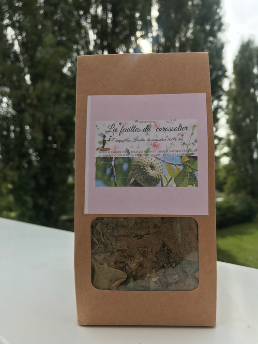 Les feuilles du corossolier encore appelé graviola