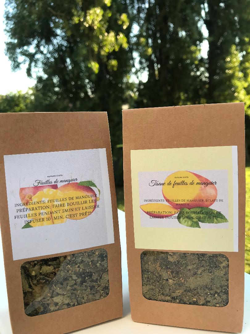 Les feuilles du manguier broyées