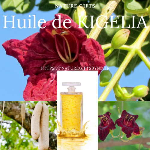 Huile de kigelia