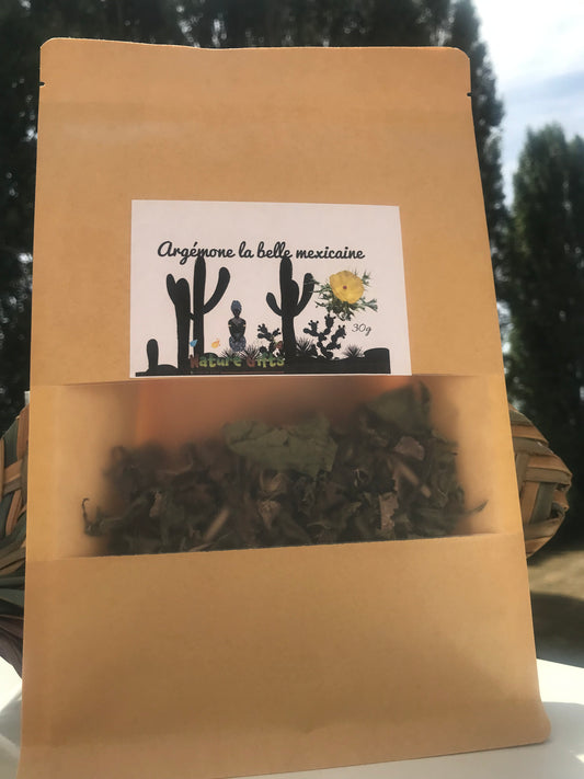 Argémone la belle mexicaine