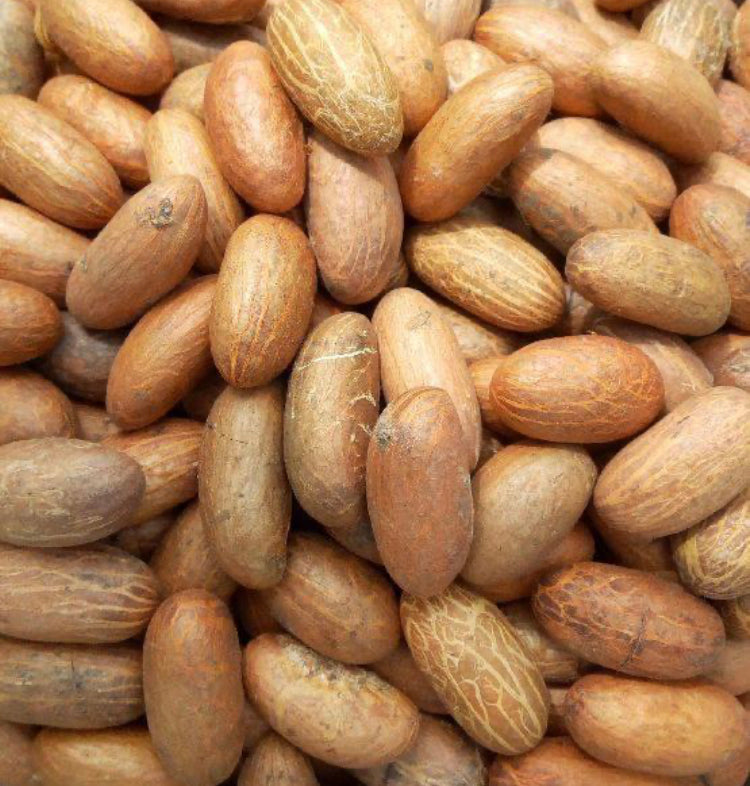 La petite Cola ou "Bitter Cola" ou encore Garcinia kola