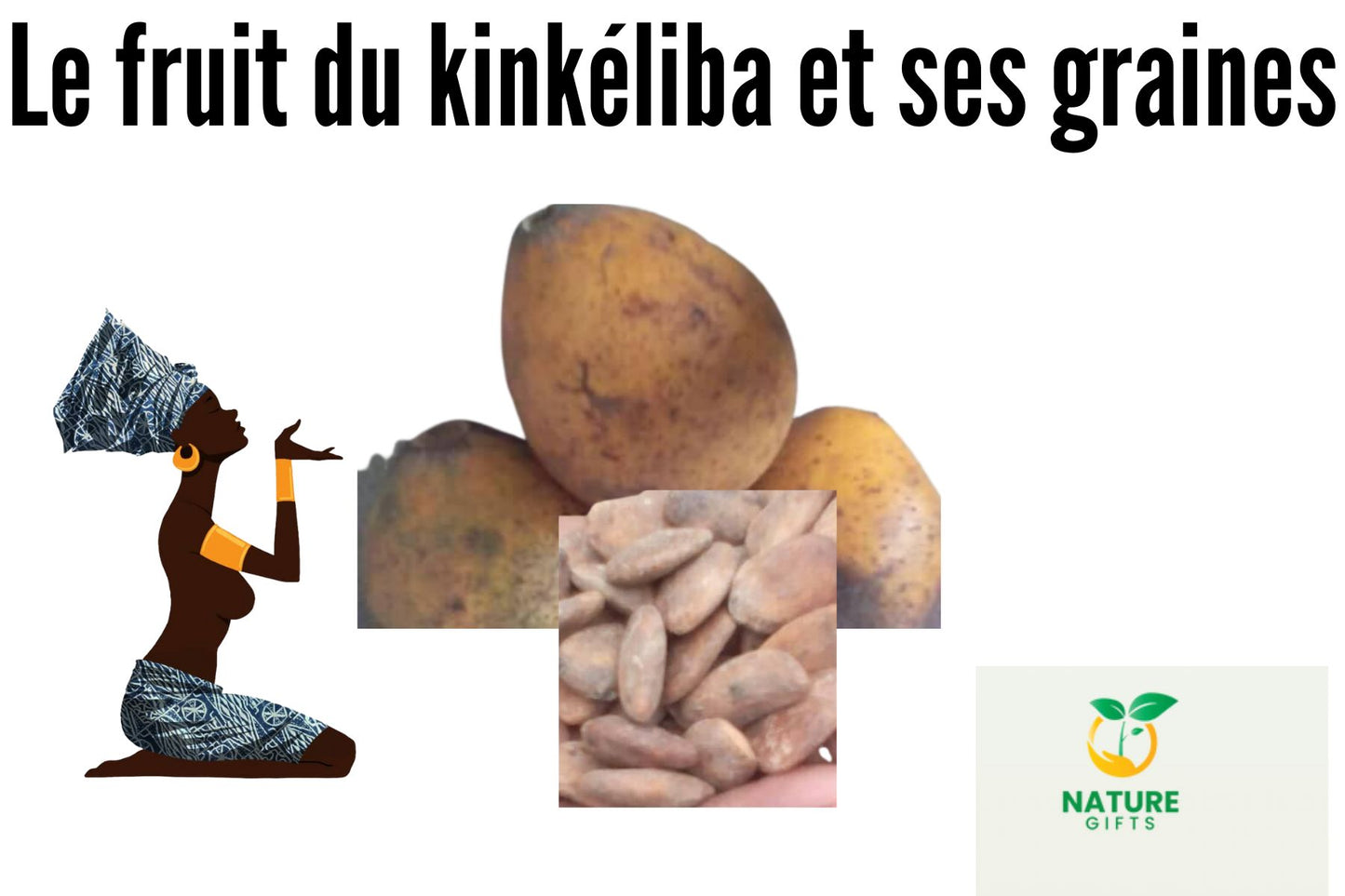 graines entières de Picralima Nitida/Akwama/ abusivement appelés" kinkéliba"