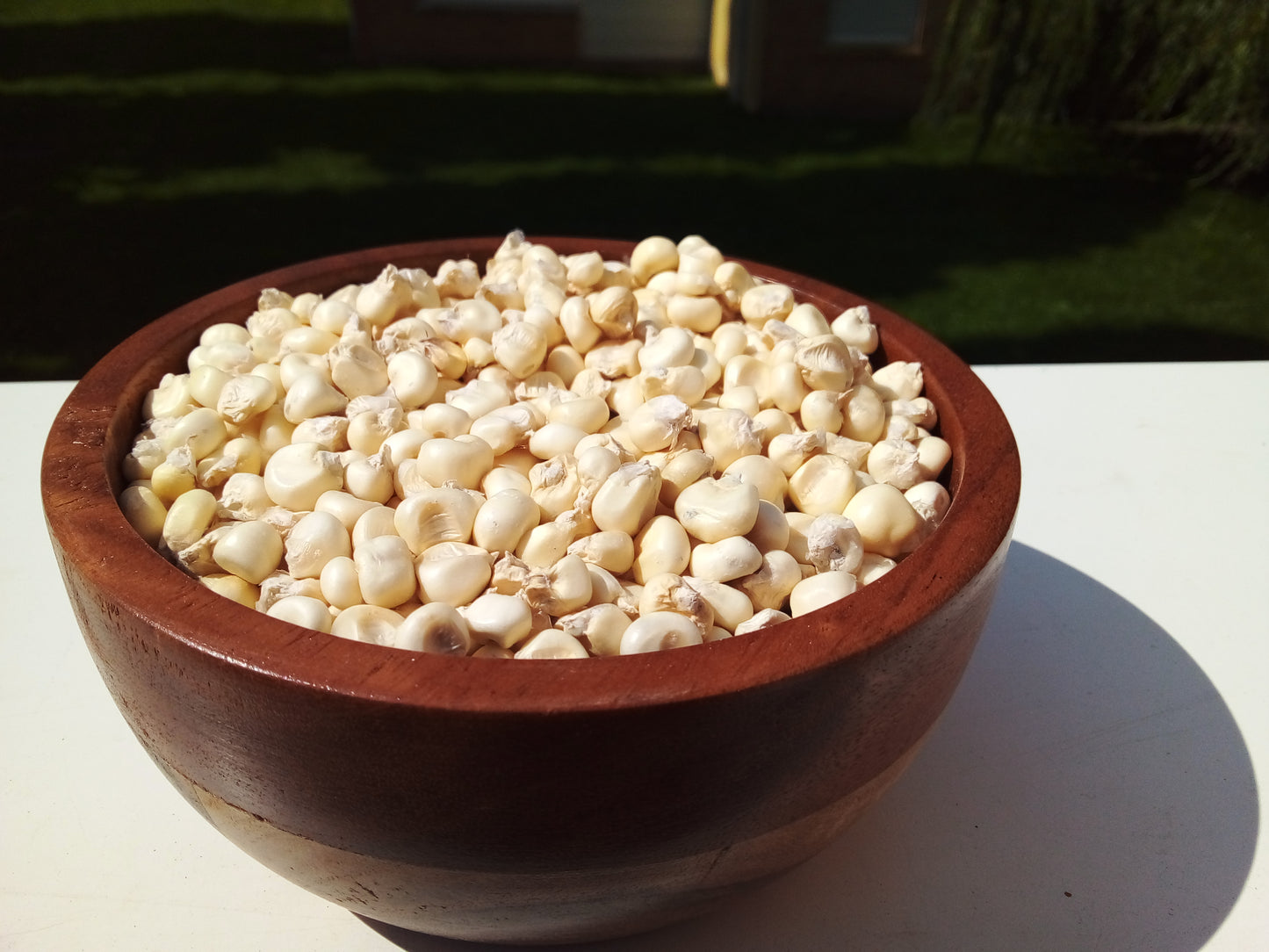 Mais blanc et arachides du village grillés