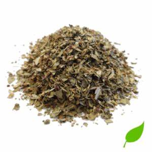 Basilic sauvage(Massep)