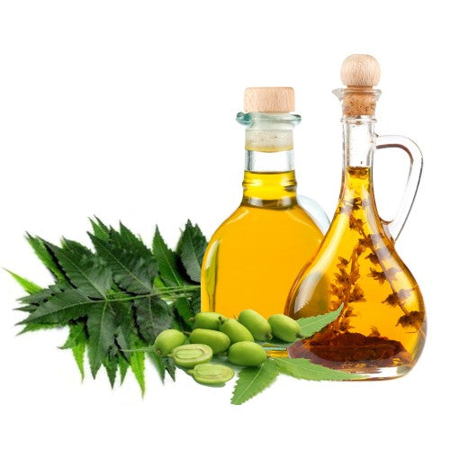 Huile de Neem ou de Margousier