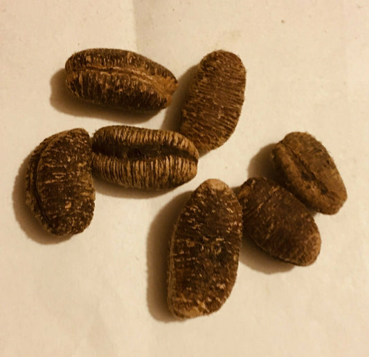 PEBE au Cameroun- noix de muscade du Gabon ou ehuru ou encore abo-lakoshe au Nigéria; Sasaliku au Benin