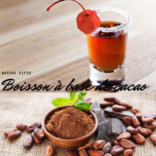 Boisson à base de cacao "ELIXIR DES DIEUX"